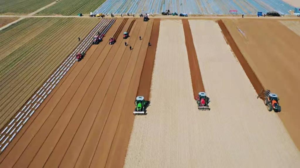 高標(biāo)準(zhǔn)農(nóng)田備春耕一線觀察:藏糧于地“高標(biāo)準(zhǔn)” 提擋升級“解愁盼” 高標(biāo)準(zhǔn)農(nóng)田備春耕一線觀察:藏糧于地“高標(biāo)準(zhǔn)” 提擋升級“解愁盼”