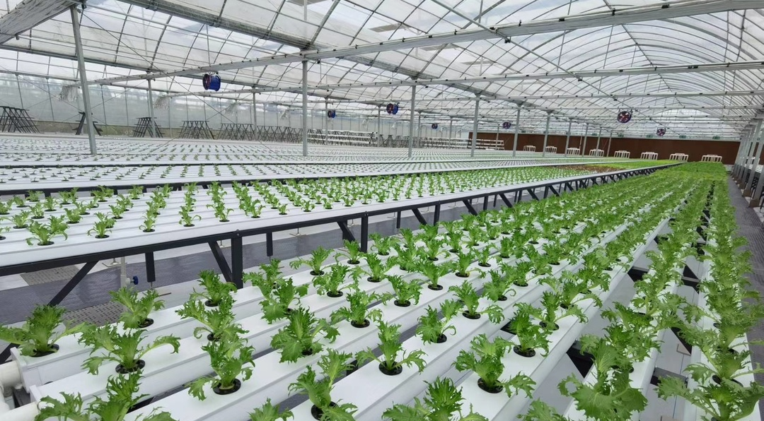 提檔升級！“十四五”期間我省將建50個省級現代農業產業高質量發展示范園