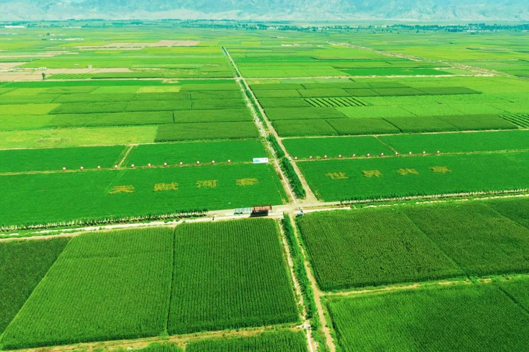 《高標(biāo)準(zhǔn)農(nóng)田建設(shè)通則》國家標(biāo)準(zhǔn)發(fā)布