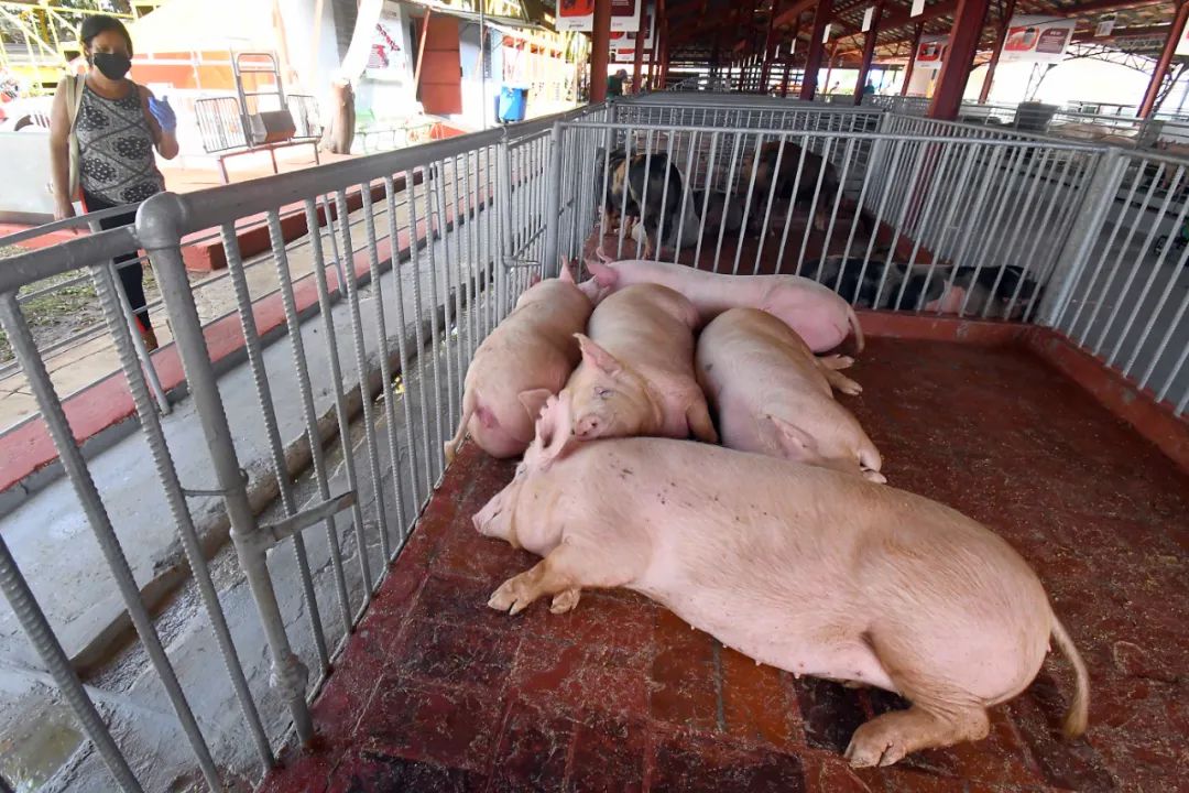 俄烏局勢對主要農(nóng)產(chǎn)品國際市場與貿(mào)易的影響有哪些？