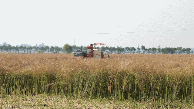 濰柴雷沃無人農(nóng)機亮相湖北奏響科技農(nóng)業(yè)新樂章