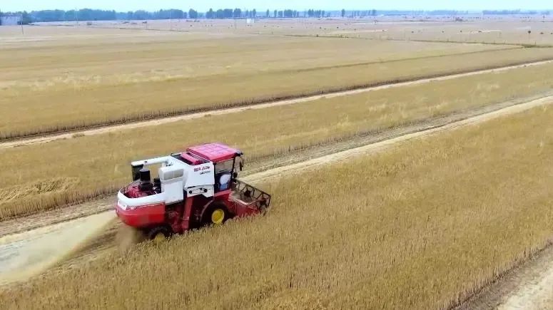 穩(wěn)了！“中原糧倉”實現(xiàn)麥收供需對接全覆蓋！