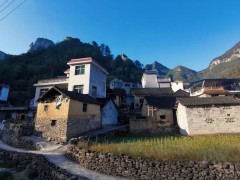 陳明:以超常改革舉措穩(wěn)住農(nóng)業(yè)農(nóng)村基本盤