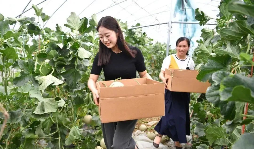 【縣域農業】縣域是未來農業品牌建設的主戰場！