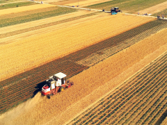 李天祥 鐘鈺:高質量建設國家糧食安全產(chǎn)業(yè)帶