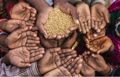 產(chǎn)需基本平衡，為何全球仍面臨糧食危機