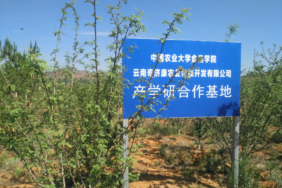 農(nóng)業(yè)產(chǎn)學(xué)研融合再添“新軍”