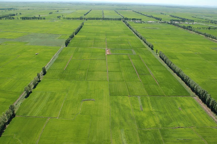 精準農業的“東北探索” 精準農業的“東北探索”
