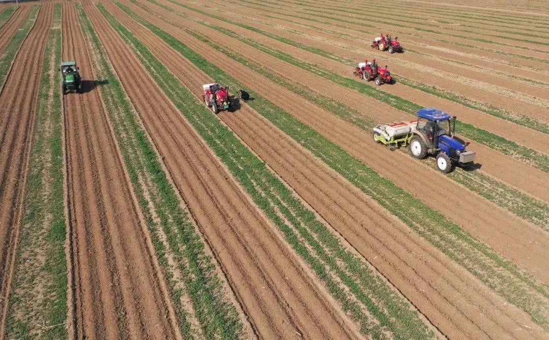 中央一號文件發布：強化農業科技和裝備支撐