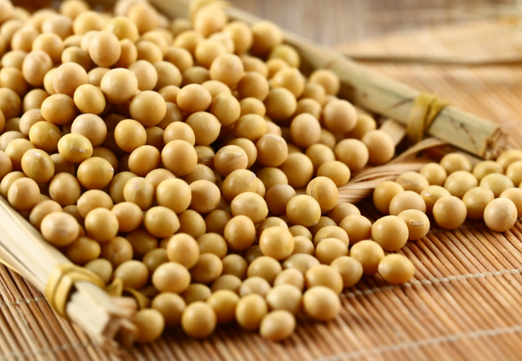 充分發(fā)揮大豆在我國(guó)食物系統(tǒng)中的獨(dú)特價(jià)值 充分發(fā)揮大豆在我國(guó)食物系統(tǒng)中的獨(dú)特價(jià)值