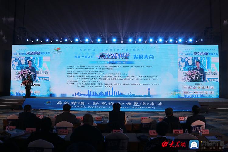 2023高效種豬發展大會在青島召開 2023高效種豬發展大會在青島召開