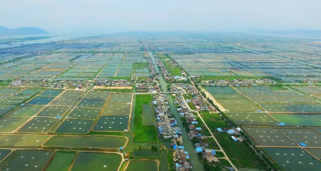 加快建設(shè)農(nóng)業(yè)強(qiáng)國 全面推進(jìn)鄉(xiāng)村振興