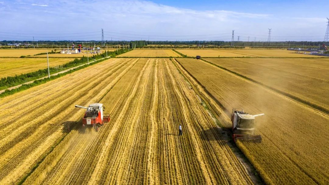 中國農(nóng)學會發(fā)布“36條農(nóng)業(yè)農(nóng)村重大科學命題” 中國農(nóng)學會發(fā)布“36條農(nóng)業(yè)農(nóng)村重大科學命題”