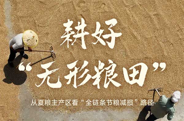 耕好“無形糧田”——從夏糧主產(chǎn)區(qū)看“全鏈條節(jié)糧減損”路徑 耕好“無形糧田”——從夏糧主產(chǎn)區(qū)看“全鏈條節(jié)糧減損”路徑