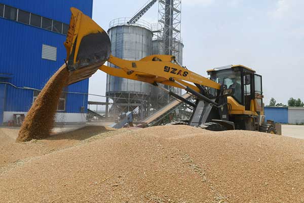 耕好“無形糧田”——從夏糧主產(chǎn)區(qū)看“全鏈條節(jié)糧減損”路徑 耕好“無形糧田”——從夏糧主產(chǎn)區(qū)看“全鏈條節(jié)糧減損”路徑