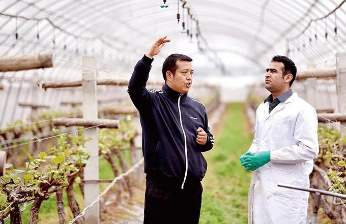 楊凌農(nóng)高區(qū):中國現(xiàn)代農(nóng)業(yè)的“支點” 楊凌農(nóng)高區(qū):中國現(xiàn)代農(nóng)業(yè)的“支點”