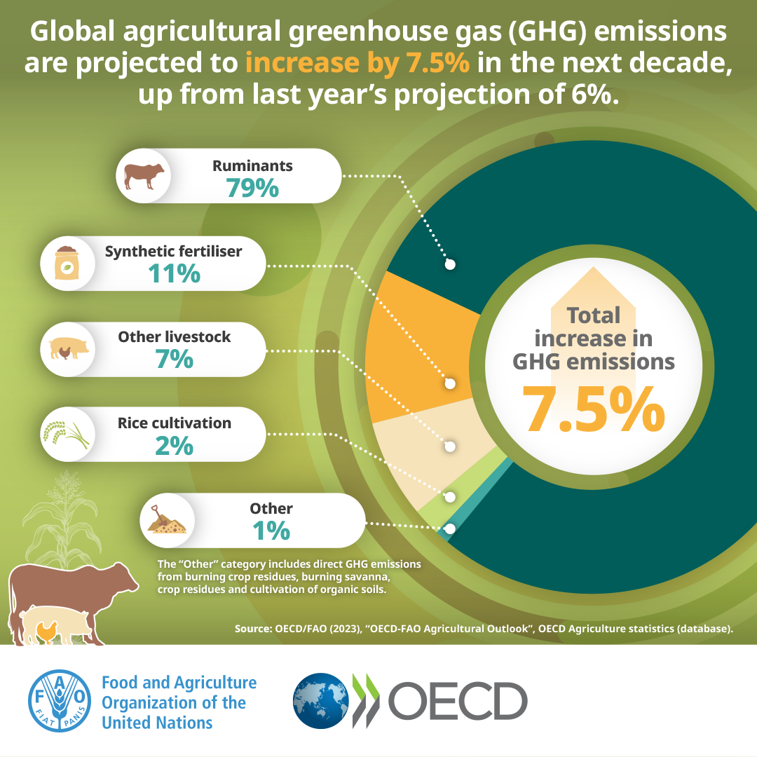 未來十年全球農業和糧食產量增長預計將放緩 未來十年全球農業和糧食產量增長預計將放緩