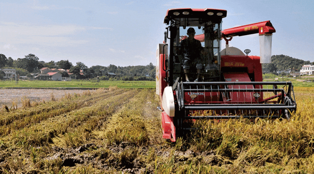 濰柴雷沃以科技守望稻香中國(guó)