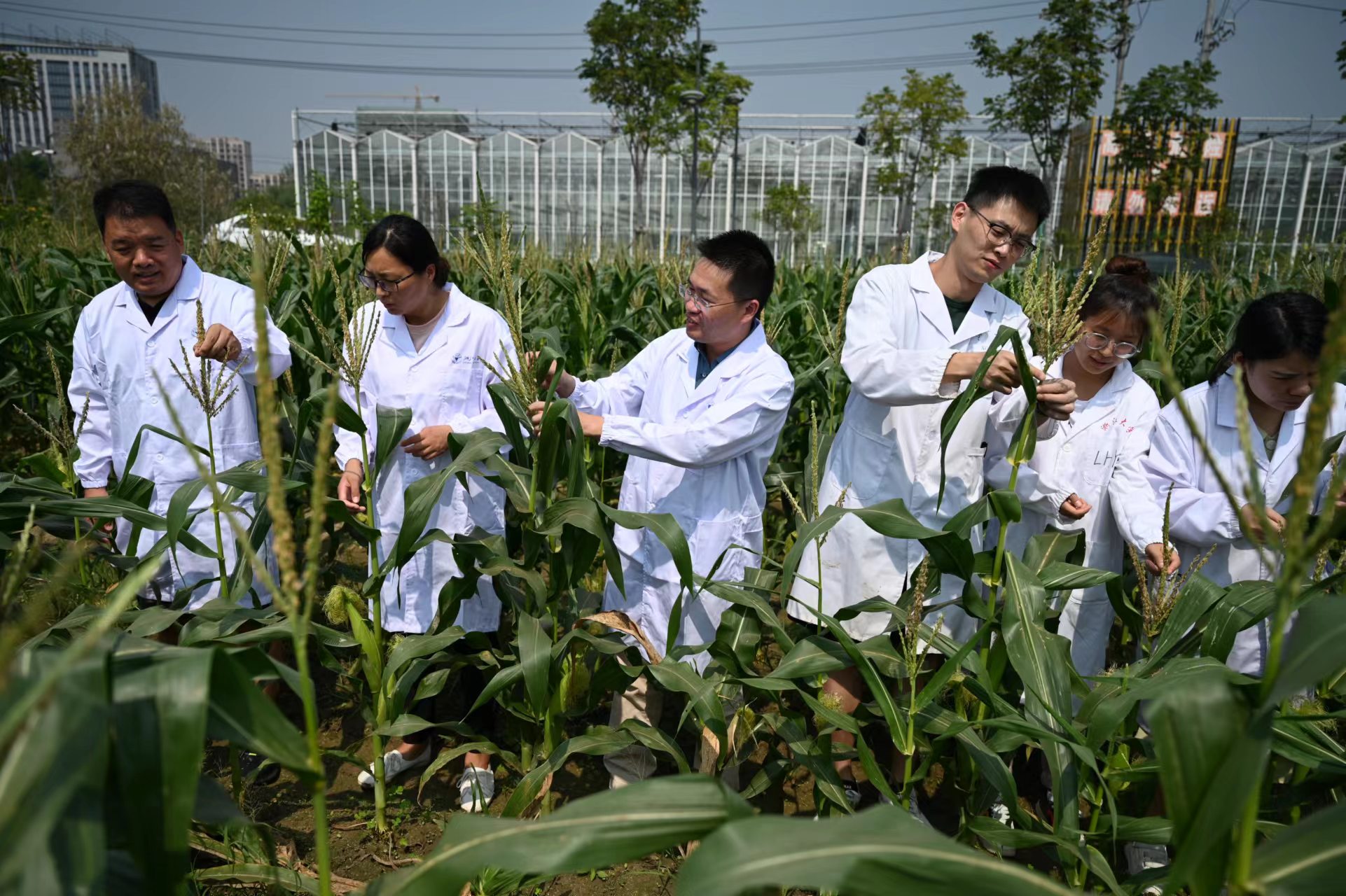 農業科技能否迎來投資風口？