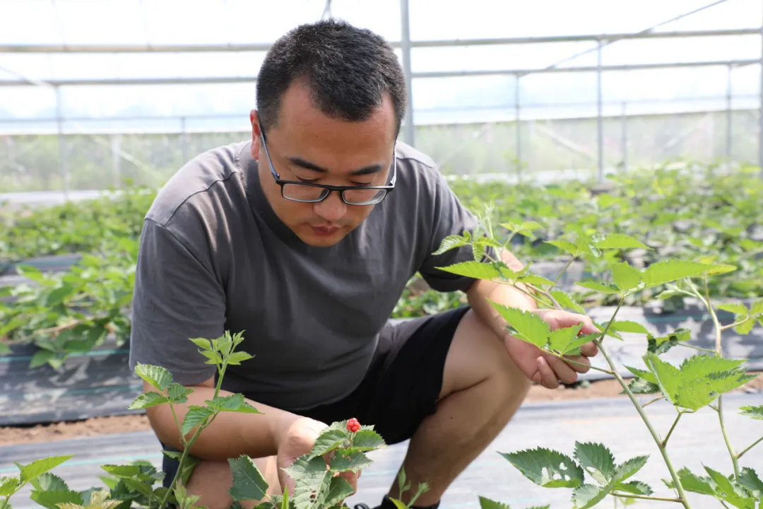 鄉(xiāng)村行·看振興 | 掛職博士實(shí)干謀振興