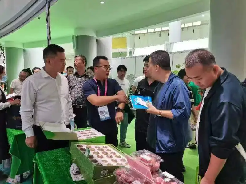 鄉(xiāng)村行·看振興 | 掛職博士實(shí)干謀振興